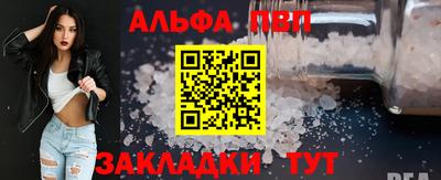 гашик Моздок