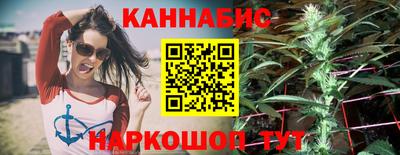 гашик Моздок