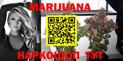 гашик Моздок