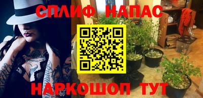твердый Можга