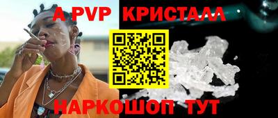 гашик Моздок