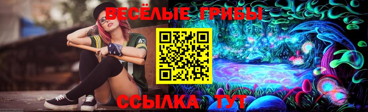 Псилоцибиновые грибы MAGIC MUSHROOMS Верхний Уфалей